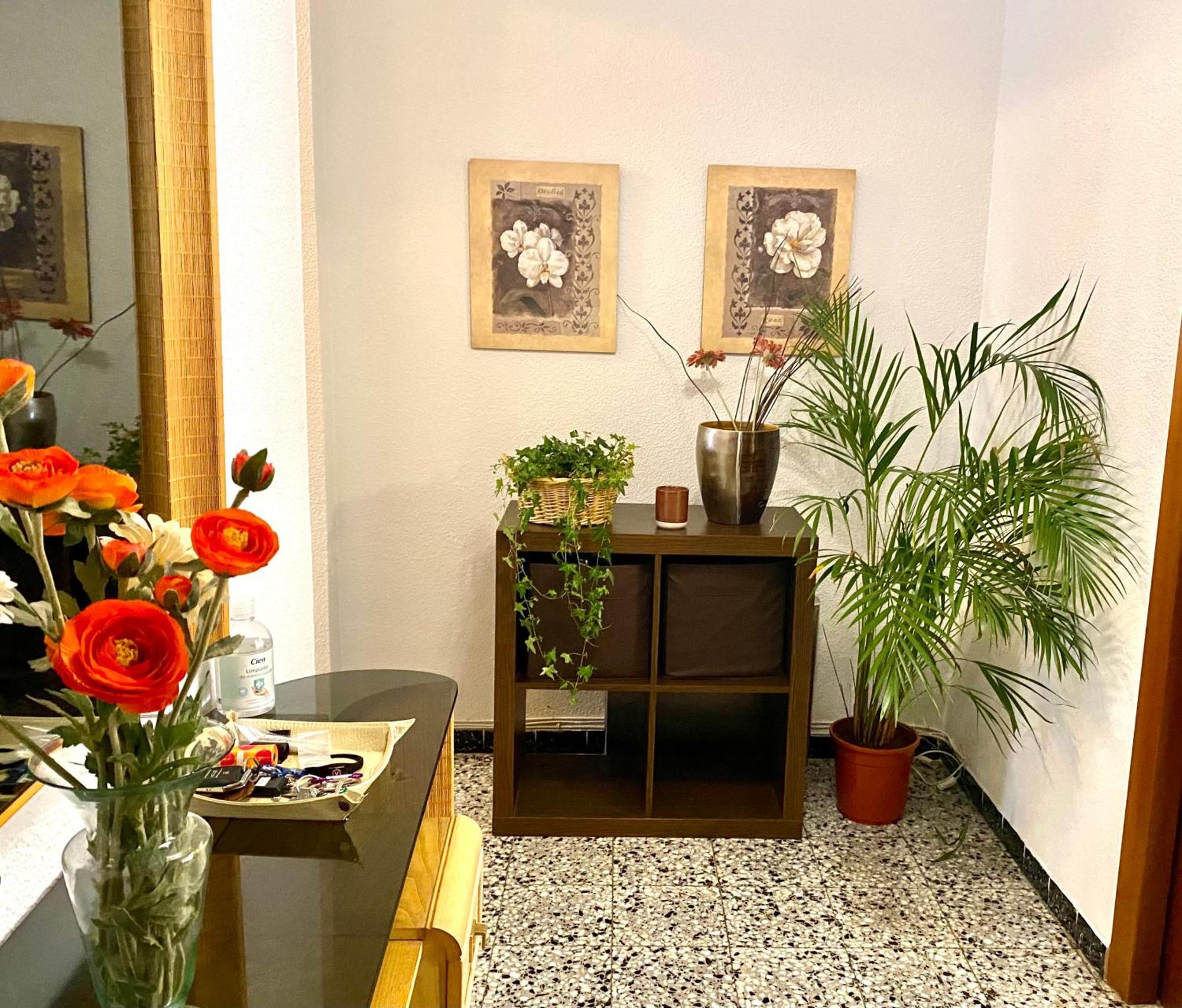 Habitacion My Home Alicante Bagian luar foto